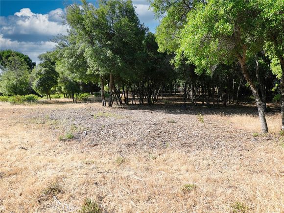 3157 Riviera Heights Drive Kelseyville, CA Land Active - Photo 1 of 12. Opens carousel modal