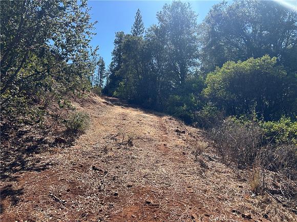 17615 Ponderosa, Lower Lake, CA 95457 | MLS# LC26222646