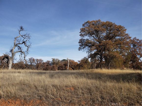 14000 Cadena Way Coulterville, CA Plot of land Sold - Photo 1 of 8. Opens carousel modal