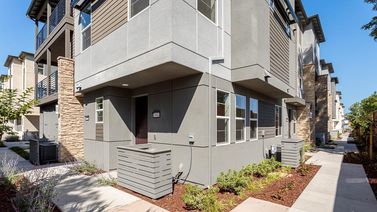 135 Vivid Lane