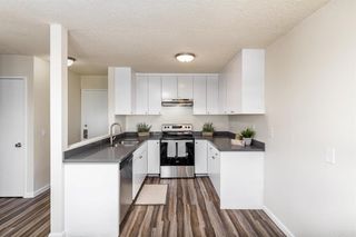 3431 Capalina Road Unit 14