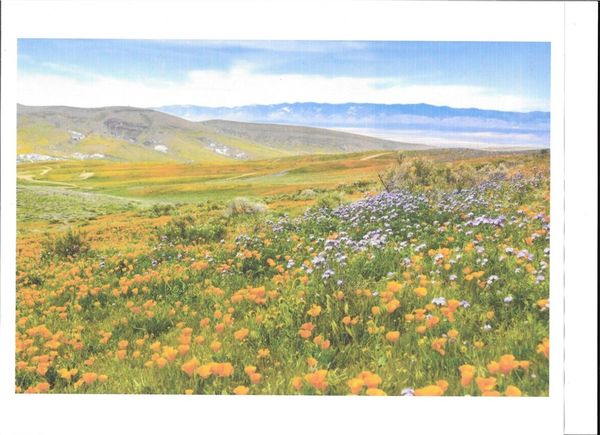 0 Cooperstown Rd California Valley, CA Plot of land Active - Photo 1 of 1. Opens carousel modal