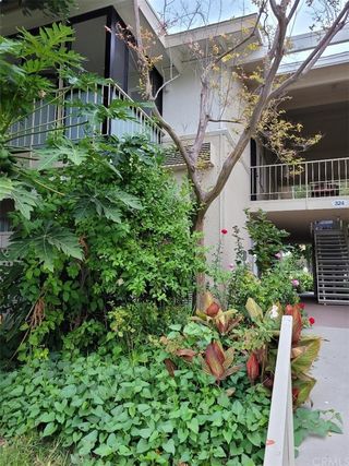 324 Avenida Carmel Unit P