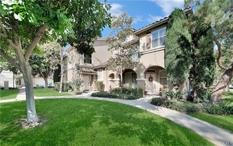 3701 Orangewood