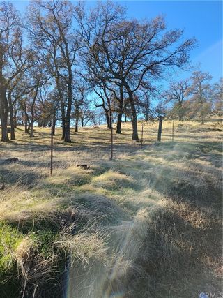 4 Springtime Trail