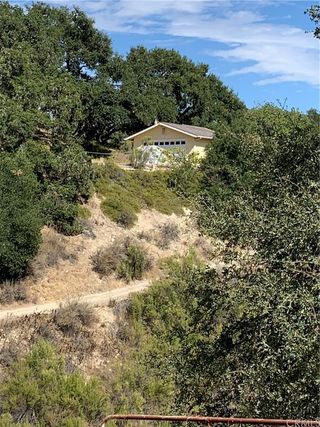 9954 Wildflower