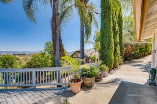 3211 San Carlos