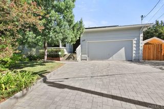 1102 Eucalyptus