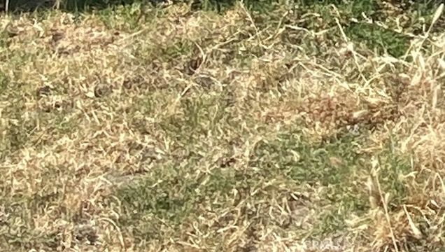 0 Vac/213 Ste Pav /Vic Avenue X4 Llano, CA Land Sold - Photo 1 of 1. Opens carousel modal