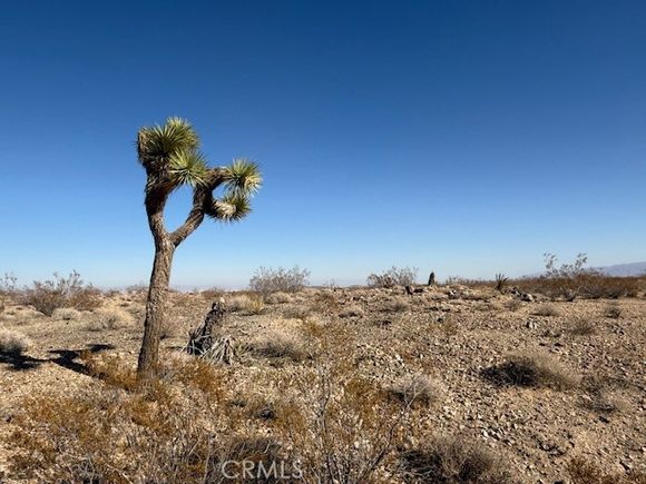2160 Juniper Ave. Joshua Tree, CA Land Active - Photo 1 of 14. Opens carousel modal