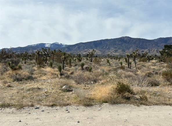 0 Mono Road Pinon Hills, CA Plot of land Active - Photo 1 of 6. Opens carousel modal