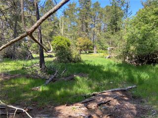 1275 Warren Road