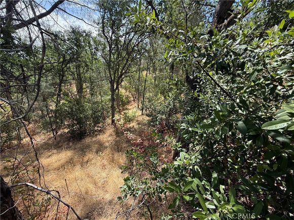 16305 Hillcrest Drive Corning, CA Plot of land Active - Photo 1 of 4. Opens carousel modal