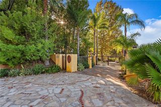 24325 Mulholland