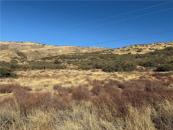 2 Mi N Av Frwy Vic Shann Acton, CA Land Sold - Photo 1 of 1. Opens carousel modal