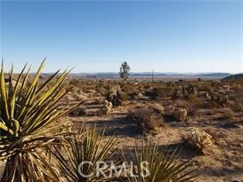7275 Saddleback Road Joshua Tree, CA Plot of land Sold - Photo 1 of 14. Opens carousel modal