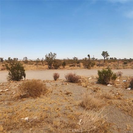 1595 La Mesa Road Pinon Hills, CA Land Active - Photo 1 of 6. Opens carousel modal
