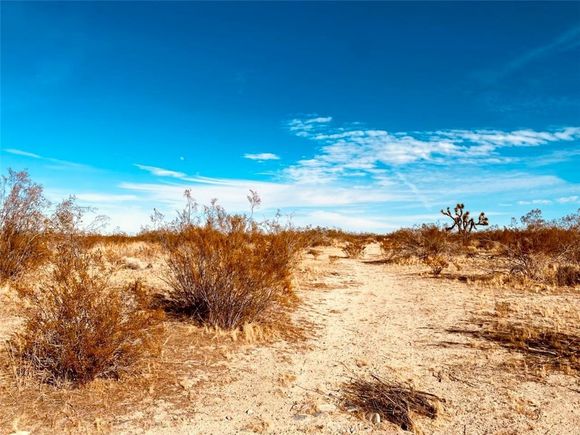 135 E 135 St E Avenue Pearblossom, CA Plot of land Active - Photo 1 of 5. Opens carousel modal