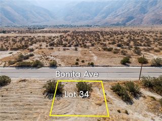 1 Bonita