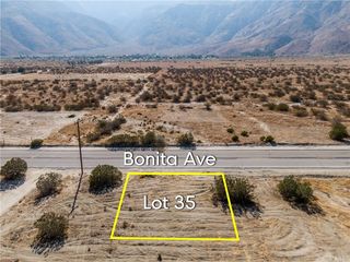 2 Bonita