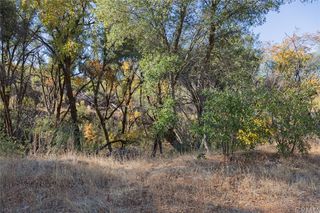 10719 Sheep Ranch Road
