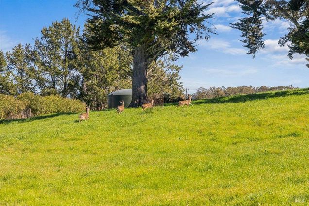 511 Fairview Court Petaluma, CA Plot of land Active - Photo 1 of 27. Opens carousel modal