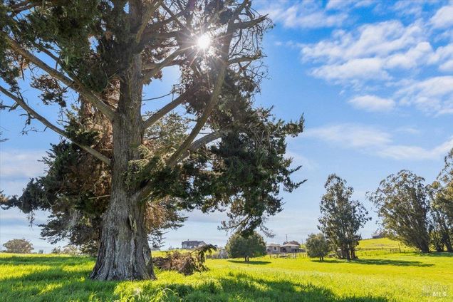 549 Fairview Court Petaluma, CA Plot of land Active - Photo 1 of 23. Opens carousel modal
