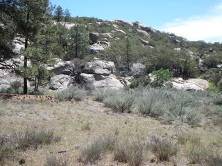 0 Butterfly Peak Road