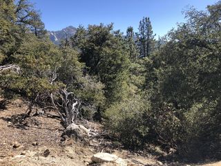 0 Mountain View Dr Drive